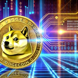 Dogecoin to $1 is Reasonable as DOGE Enters Distribution Phase in 2025